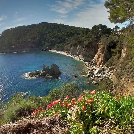 Bona, Vue Hippodrome Et Mer, Clim Hyeres