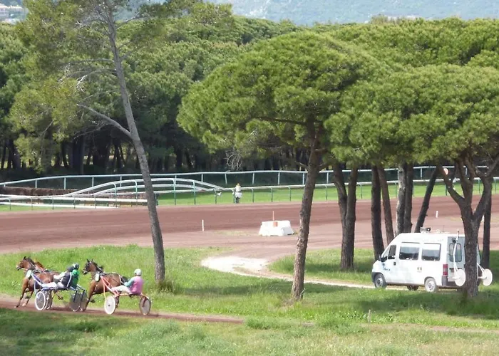 Bona, Vue Hippodrome Et Mer, Clim * Hyères