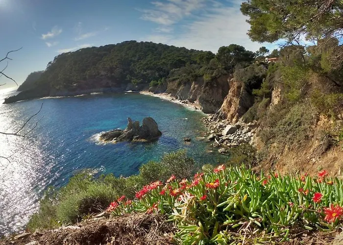 Bona, Vue Hippodrome Et Mer, Clim Hyères
