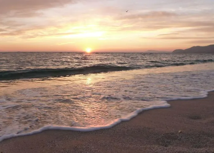 Bona, Vue Hippodrome Et Mer, Clim Hyères
